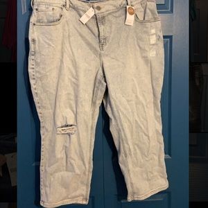 Lane Bryant jeans